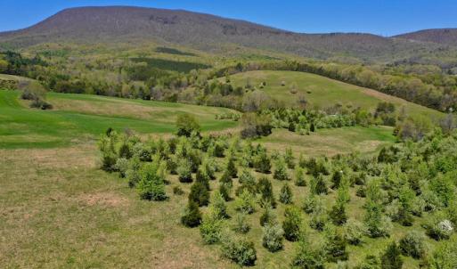 Photo of SOLD!  20 Acres of Equestrian Farm and Residential Land For Sale in Rockbridge County VA!