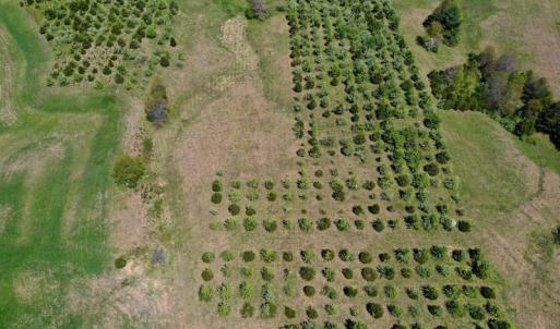 Photo of SOLD!  20 Acres of Equestrian Farm and Residential Land For Sale in Rockbridge County VA!
