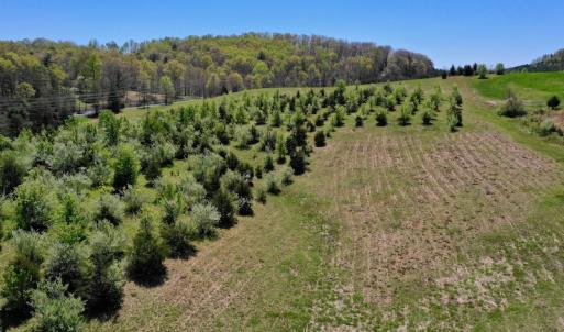 Photo of SOLD!  20 Acres of Equestrian Farm and Residential Land For Sale in Rockbridge County VA!