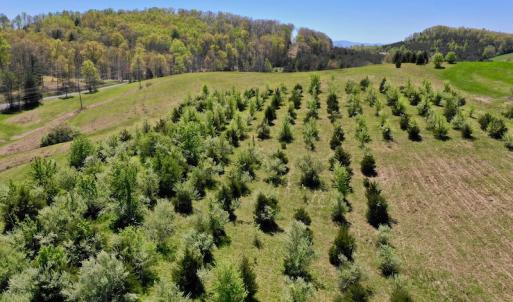 Photo of SOLD!  20 Acres of Equestrian Farm and Residential Land For Sale in Rockbridge County VA!
