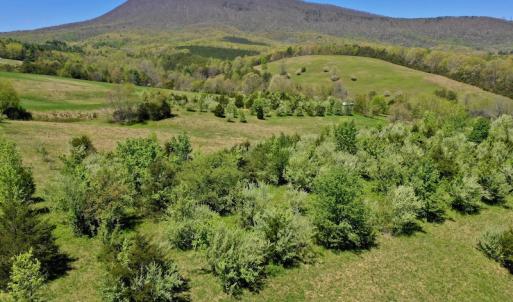 Photo of SOLD!  20 Acres of Equestrian Farm and Residential Land For Sale in Rockbridge County VA!