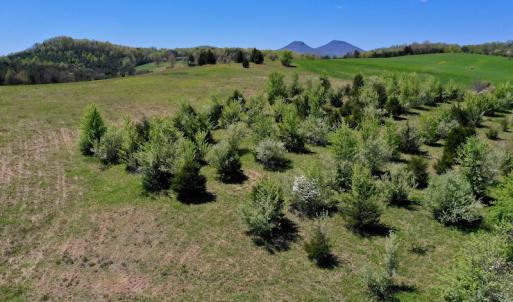 Photo of SOLD!  20 Acres of Equestrian Farm and Residential Land For Sale in Rockbridge County VA!