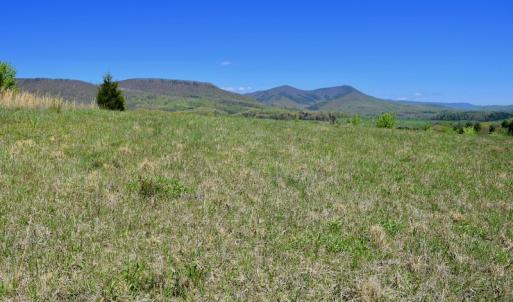 Photo of SOLD!  20 Acres of Equestrian Farm and Residential Land For Sale in Rockbridge County VA!