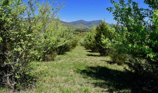 Photo of SOLD!  20 Acres of Equestrian Farm and Residential Land For Sale in Rockbridge County VA!