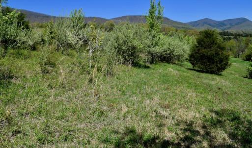 Photo of SOLD!  20 Acres of Equestrian Farm and Residential Land For Sale in Rockbridge County VA!