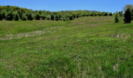 Photo of SOLD!  20 Acres of Equestrian Farm and Residential Land For Sale in Rockbridge County VA!