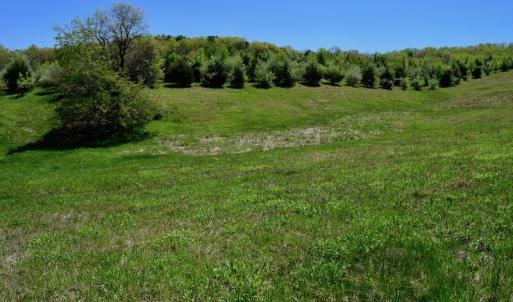 Photo of SOLD!  20 Acres of Equestrian Farm and Residential Land For Sale in Rockbridge County VA!