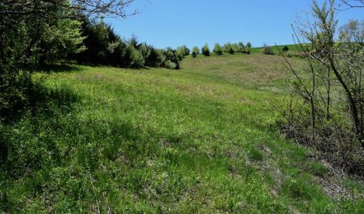 Photo of SOLD!  20 Acres of Equestrian Farm and Residential Land For Sale in Rockbridge County VA!