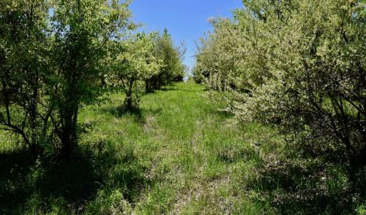 Photo of SOLD!  20 Acres of Equestrian Farm and Residential Land For Sale in Rockbridge County VA!