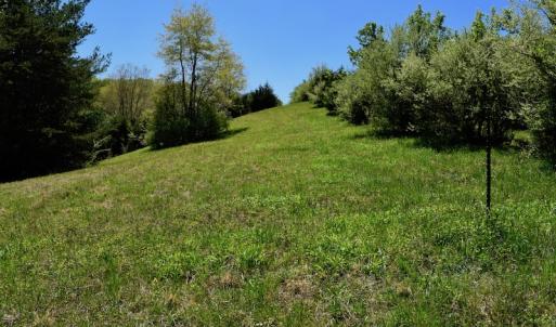Photo of SOLD!  20 Acres of Equestrian Farm and Residential Land For Sale in Rockbridge County VA!