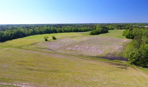 Photo of UNDER CONTRACT!  21 Acres of Farm and Hunting Land For Sale in Columbus County NC!