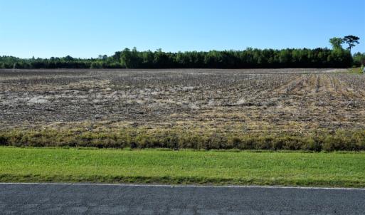 Photo of SOLD!  30 Acres of Investment Farm and Timber Land For Sale in Beaufort County NC!