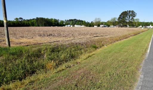 Photo of SOLD!  30 Acres of Investment Farm and Timber Land For Sale in Beaufort County NC!