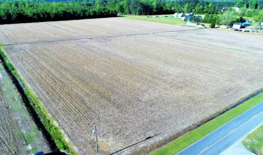 Photo of SOLD!  30 Acres of Investment Farm and Timber Land For Sale in Beaufort County NC!