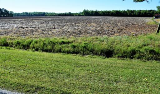 Photo of SOLD!  30 Acres of Investment Farm and Timber Land For Sale in Beaufort County NC!