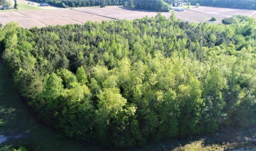 Photo of SOLD!  30 Acres of Investment Farm and Timber Land For Sale in Beaufort County NC!