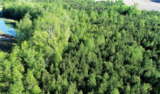Photo of SOLD!  30 Acres of Investment Farm and Timber Land For Sale in Beaufort County NC!