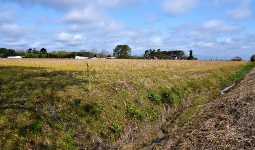 Photo of SOLD!  30 Acres of Investment Farm and Timber Land For Sale in Beaufort County NC!