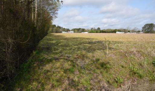 Photo of SOLD!  30 Acres of Investment Farm and Timber Land For Sale in Beaufort County NC!
