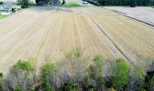 Photo of SOLD!  30 Acres of Investment Farm and Timber Land For Sale in Beaufort County NC!