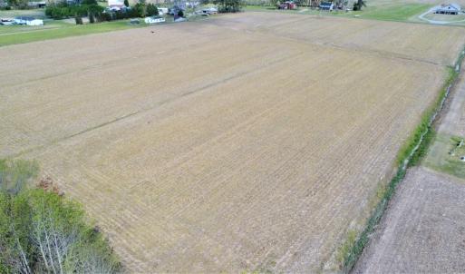 Photo of SOLD!  30 Acres of Investment Farm and Timber Land For Sale in Beaufort County NC!