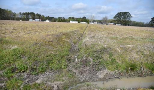 Photo of SOLD!  30 Acres of Investment Farm and Timber Land For Sale in Beaufort County NC!