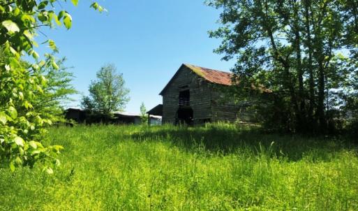Photo of UNDER CONTRACT!  10.5 Acres of Residential Farm and Hunting Land for Sale in Halifax County NC!