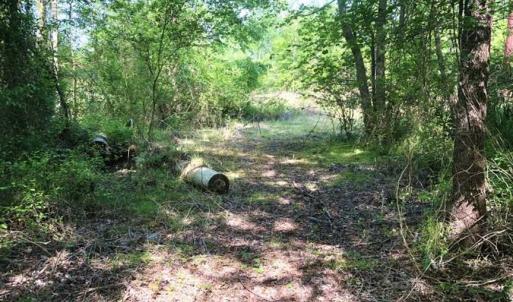 Photo of SOLD!!  8.38 Acres of Recreational Hunting Land For Sale in Warren County NC!