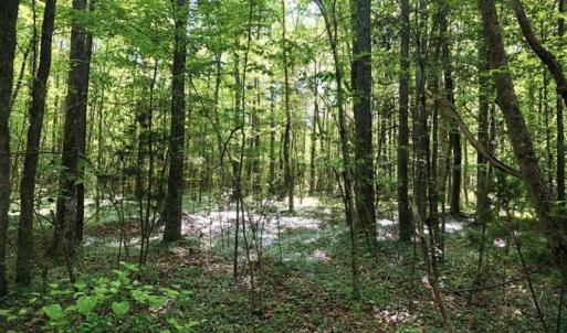 Photo of SOLD!!  8.38 Acres of Recreational Hunting Land For Sale in Warren County NC!