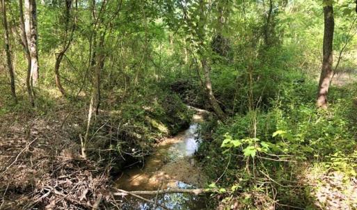 Photo of SOLD!!  8.38 Acres of Recreational Hunting Land For Sale in Warren County NC!