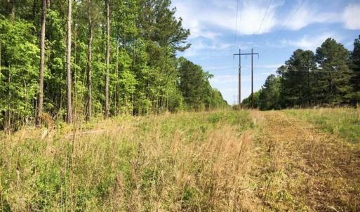 Photo of SOLD!!  8.38 Acres of Recreational Hunting Land For Sale in Warren County NC!