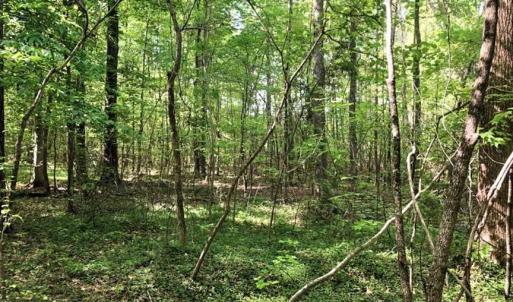 Photo of SOLD!!  8.38 Acres of Recreational Hunting Land For Sale in Warren County NC!
