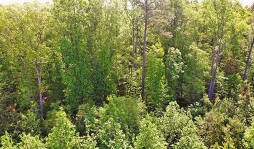 Photo of SOLD!!  8.38 Acres of Recreational Hunting Land For Sale in Warren County NC!