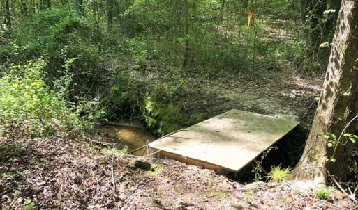 Photo of SOLD!!  8.38 Acres of Recreational Hunting Land For Sale in Warren County NC!