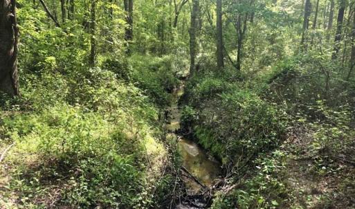 Photo of SOLD!!  8.38 Acres of Recreational Hunting Land For Sale in Warren County NC!