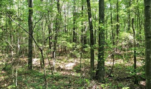 Photo of SOLD!!  8.38 Acres of Recreational Hunting Land For Sale in Warren County NC!