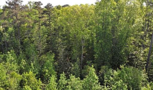 Photo of SOLD!!  8.38 Acres of Recreational Hunting Land For Sale in Warren County NC!