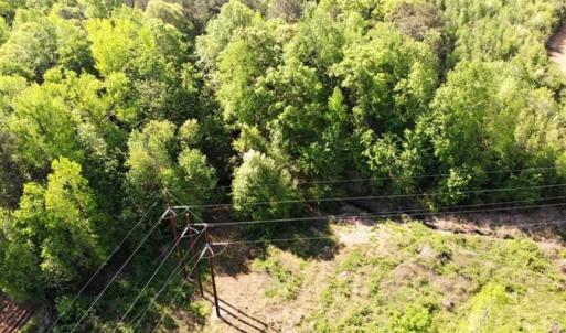 Photo of SOLD!!  8.38 Acres of Recreational Hunting Land For Sale in Warren County NC!