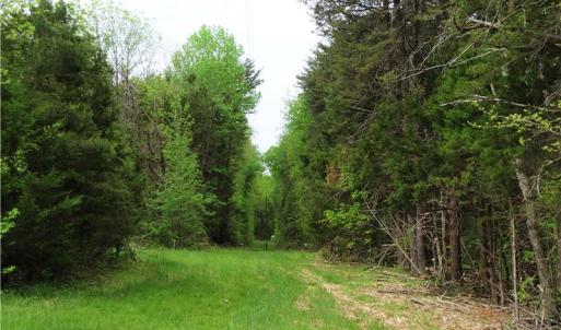 Photo of UNDER CONTRACT!  7 Acres of Residential and Hunting Land for Sale in Spotsylvania County VA!