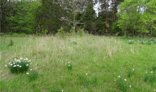Photo of UNDER CONTRACT!  7 Acres of Residential and Hunting Land for Sale in Spotsylvania County VA!