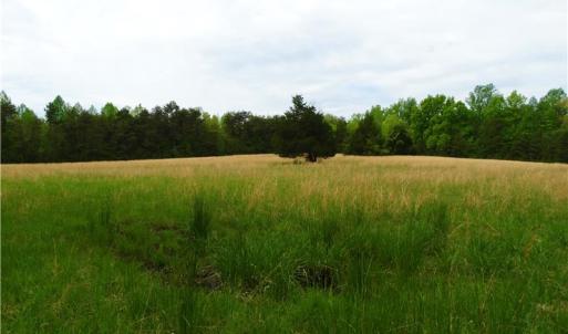 Photo of UNDER CONTRACT!  7 Acres of Residential and Hunting Land for Sale in Spotsylvania County VA!
