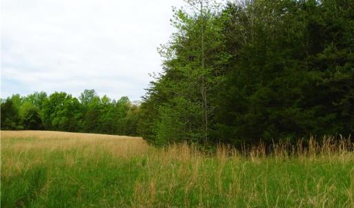 Photo of UNDER CONTRACT!  7 Acres of Residential and Hunting Land for Sale in Spotsylvania County VA!
