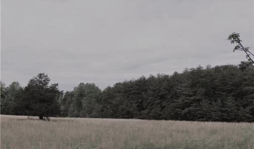 Photo of UNDER CONTRACT!  7 Acres of Residential and Hunting Land for Sale in Spotsylvania County VA!