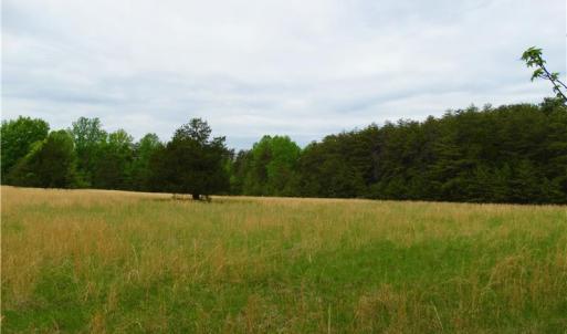 Photo of UNDER CONTRACT!  7 Acres of Residential and Hunting Land for Sale in Spotsylvania County VA!