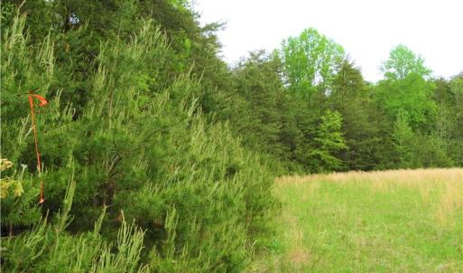 Photo of UNDER CONTRACT!  7 Acres of Residential and Hunting Land for Sale in Spotsylvania County VA!