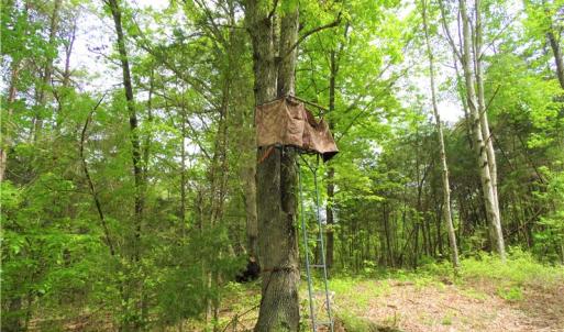 Photo of UNDER CONTRACT!  7 Acres of Residential and Hunting Land for Sale in Spotsylvania County VA!