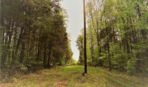 Photo of UNDER CONTRACT!  7 Acres of Residential and Hunting Land for Sale in Spotsylvania County VA!