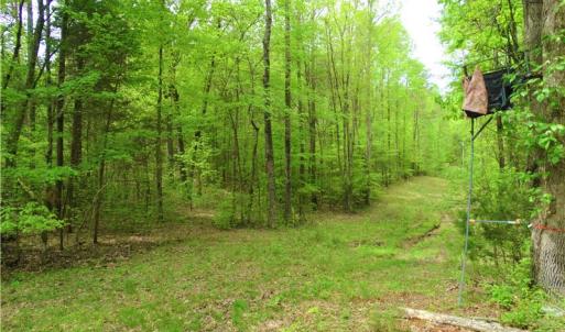 Photo of UNDER CONTRACT!  7 Acres of Residential and Hunting Land for Sale in Spotsylvania County VA!
