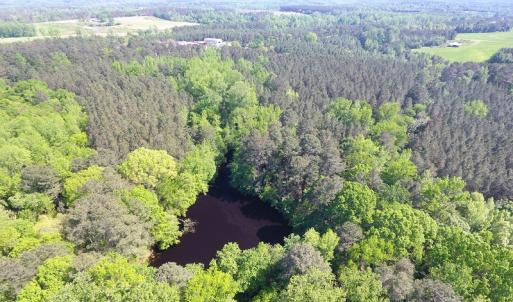 Photo of UNDER CONTRACT!  340 Acres of Hunting and Timber Land For Sale in Richmond County NC!
