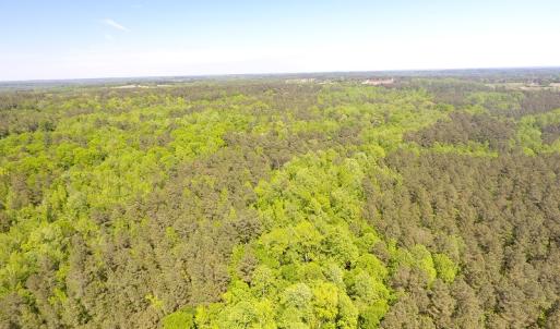 Photo of UNDER CONTRACT!  340 Acres of Hunting and Timber Land For Sale in Richmond County NC!